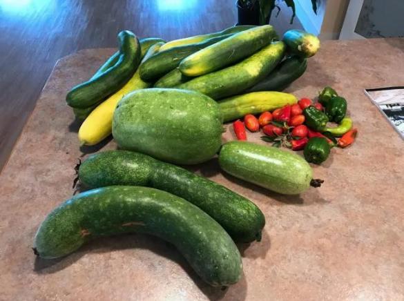 30岁中国女子买下70万平日本小岛,中国30岁女子买下70万平岛屿