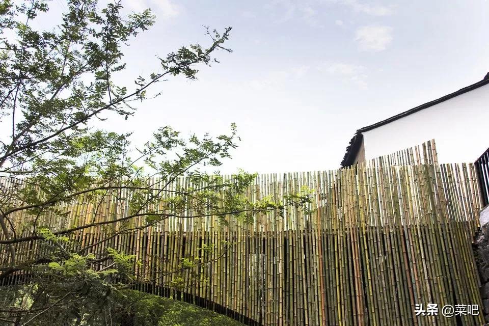 菜吧农庄创意设计,菜吧生态园规划