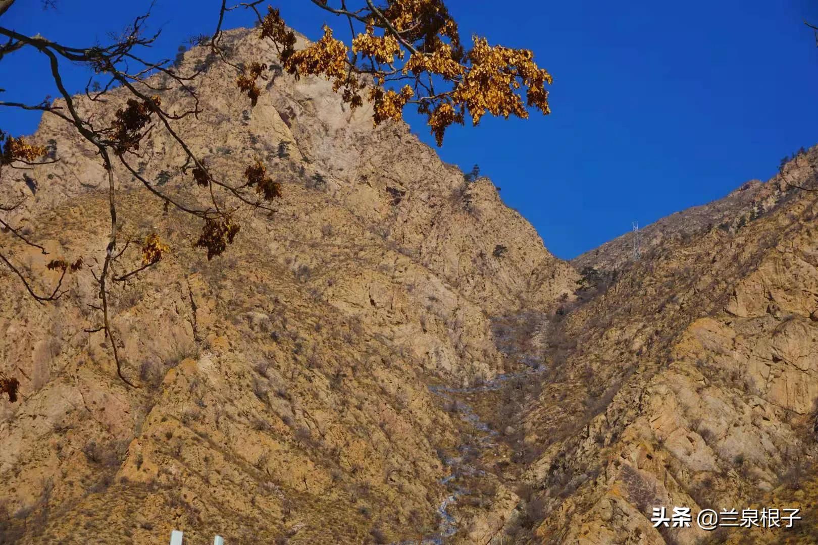 甘肃永靖金花娘娘,永靖金花娘娘的传说