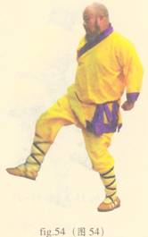 少林心意门拳视频教程,少林长护心意拳图解