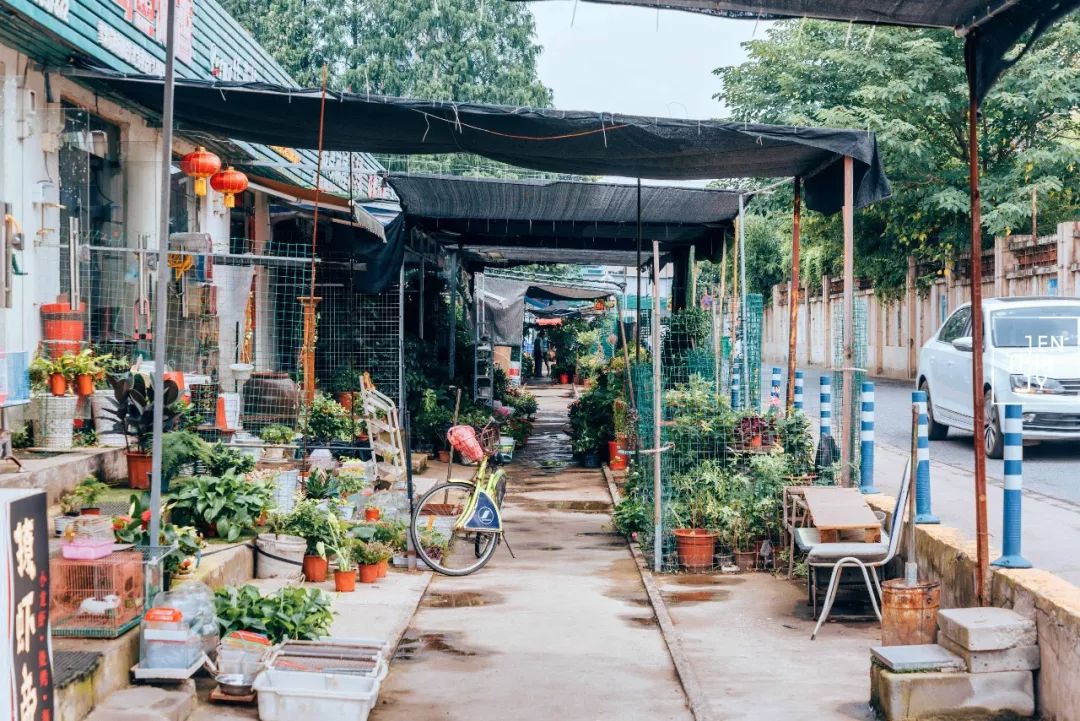 武汉是怎样的一座城,武汉发展汉阳