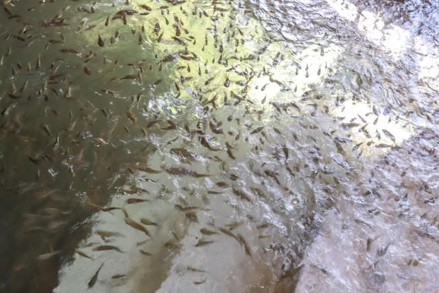 汕头潮阳区蓬莱仙境,潮州蓬莱岛旅游