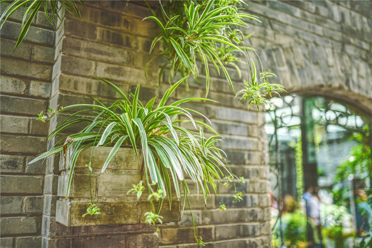 2天一夜带娃好去处成都,2天2夜成都攻略