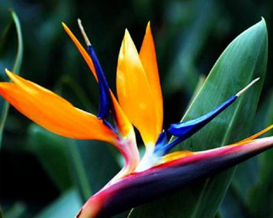 做人处事如何把握好度,怎样做人才能混得好