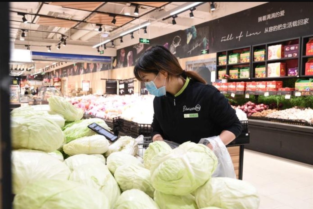 防疫执勤日志,防疫日志是什么