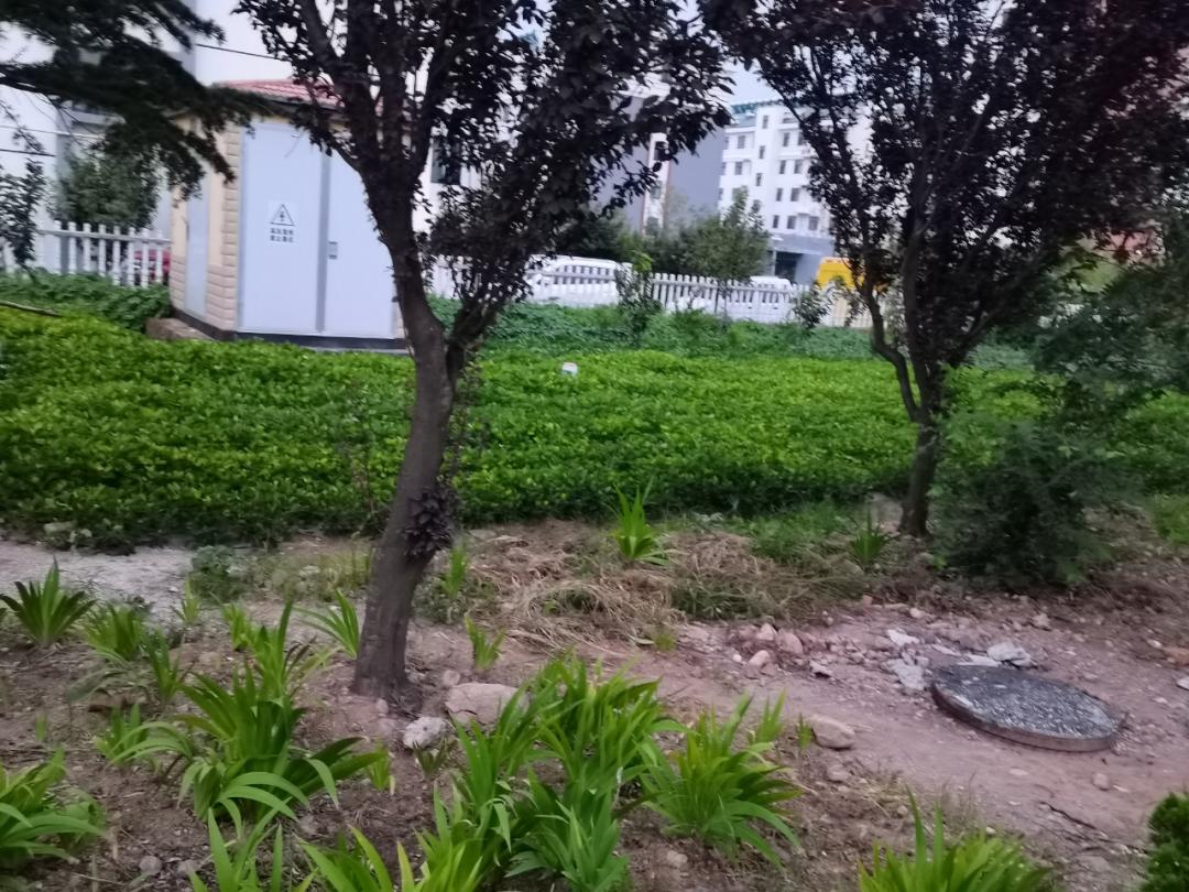 小公园垃圾场视频,公园垃圾乱象