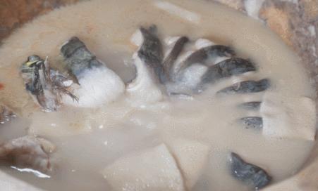 云南特色蒸汽石锅鱼什么鱼最好,特色美味云南蒸汽石锅鱼