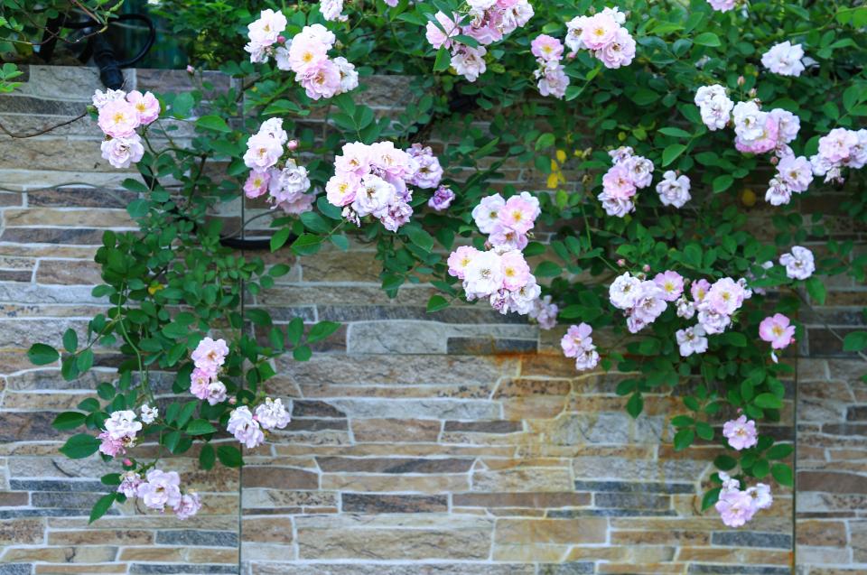 最美院子乡村,最美庭院农村轻奢