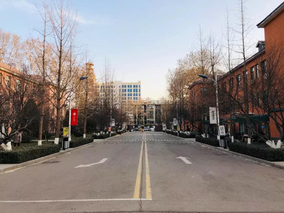 山东科技大学,不再见!