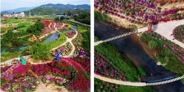 厦门特色旅游小镇,厦门两镇上榜省全域生态旅游小镇