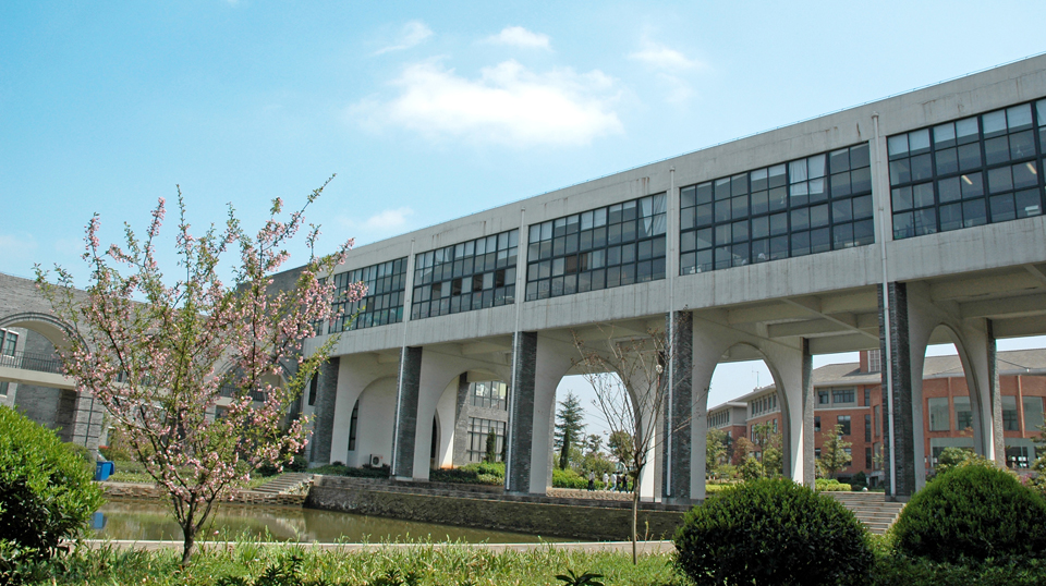 武汉明星学院,武汉明星学校