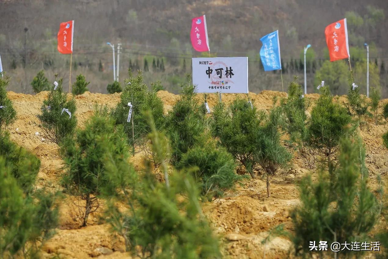 企业节水有担当，听辽宁中粮可口可乐的“WeCare”