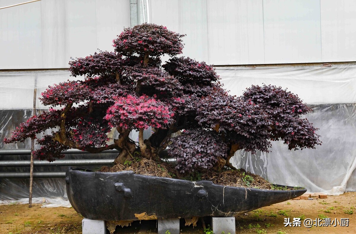 中秋节必备礼品月饼你买了吗,中秋送礼月饼啥样最大方实惠