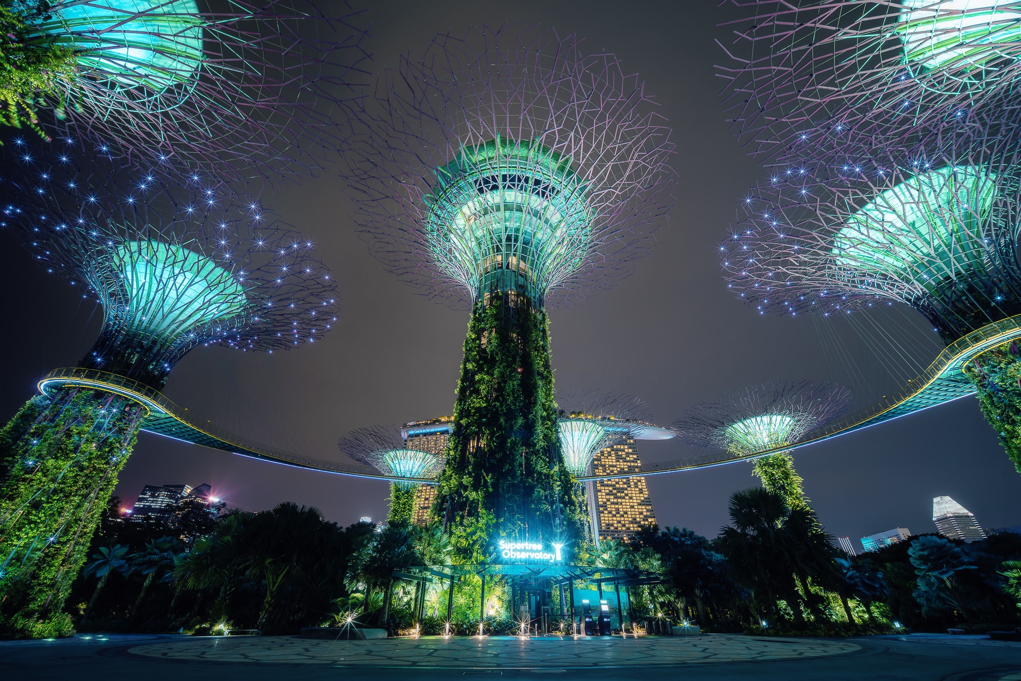 老蛙超广角推荐,老蛙9mm超广角2.8拍视频