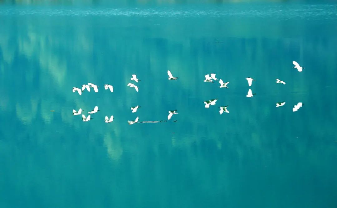 香港第14届全国摄影艺术展,第29届全国摄影艺术展览获奖名单