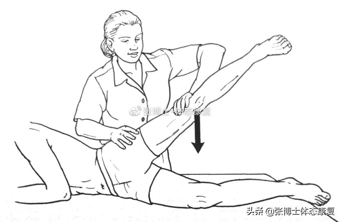 「功能训练」人体额状面稳定性与侧向子系统的关系