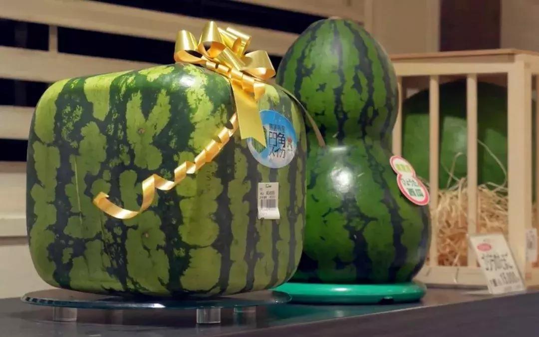 日本葡萄130万一串,日本一串葡萄拍出150万日元高价