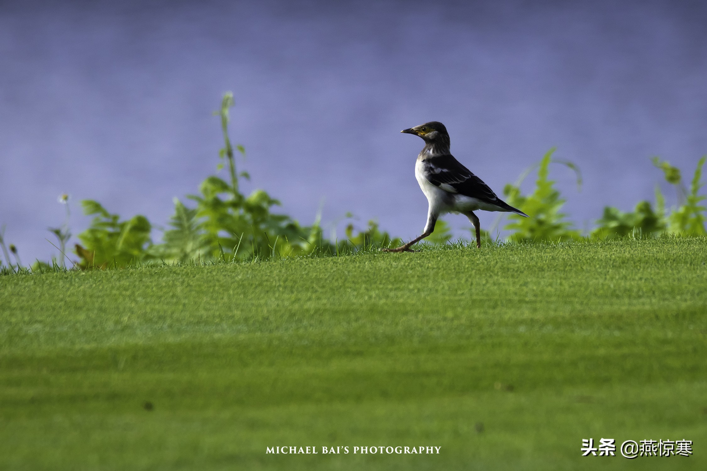 佳能rf24-702.8镜头,推荐几款佳能相机和镜头