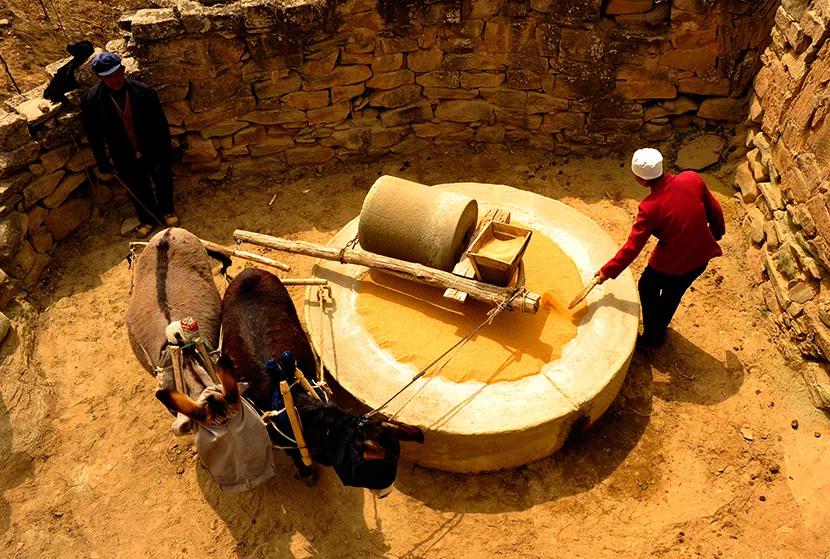 米脂小米最好的牌子是哪个,延安小米好还是米脂小米好