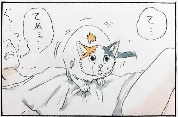 被猫踩了一脚出了一点点血,猫咪被人踩了一脚口吐白沫