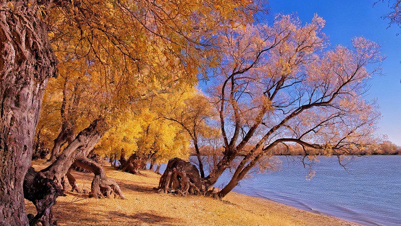 处暑养生的七大注意事项,处暑时节养生的七大注意事项