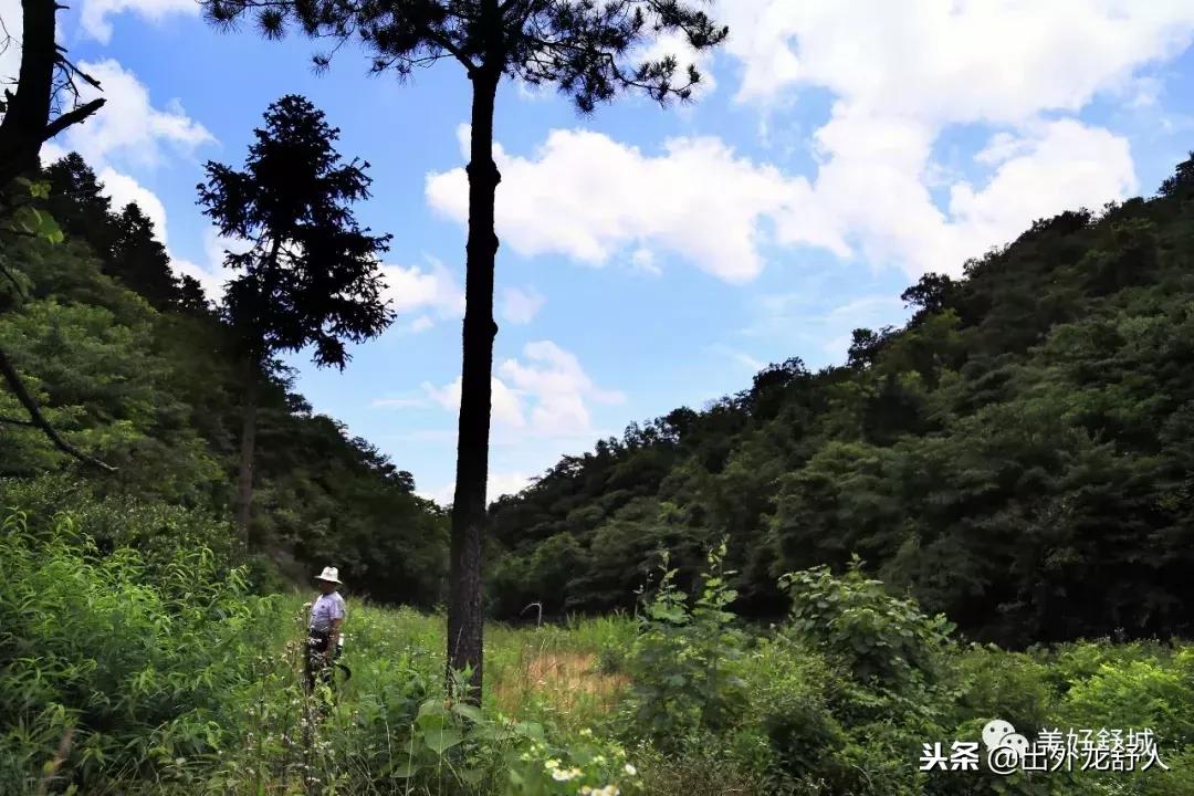 舒城县五显镇石关风景区,舒城石关风景游玩攻略