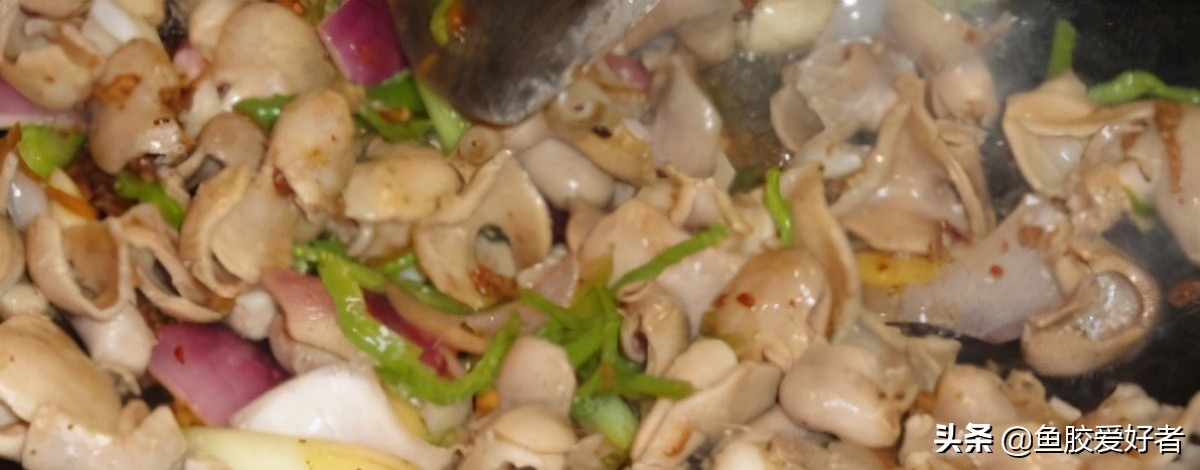 鱼胶正确的泡发方法和做法,顺德鲮鱼鱼胶的做法视频