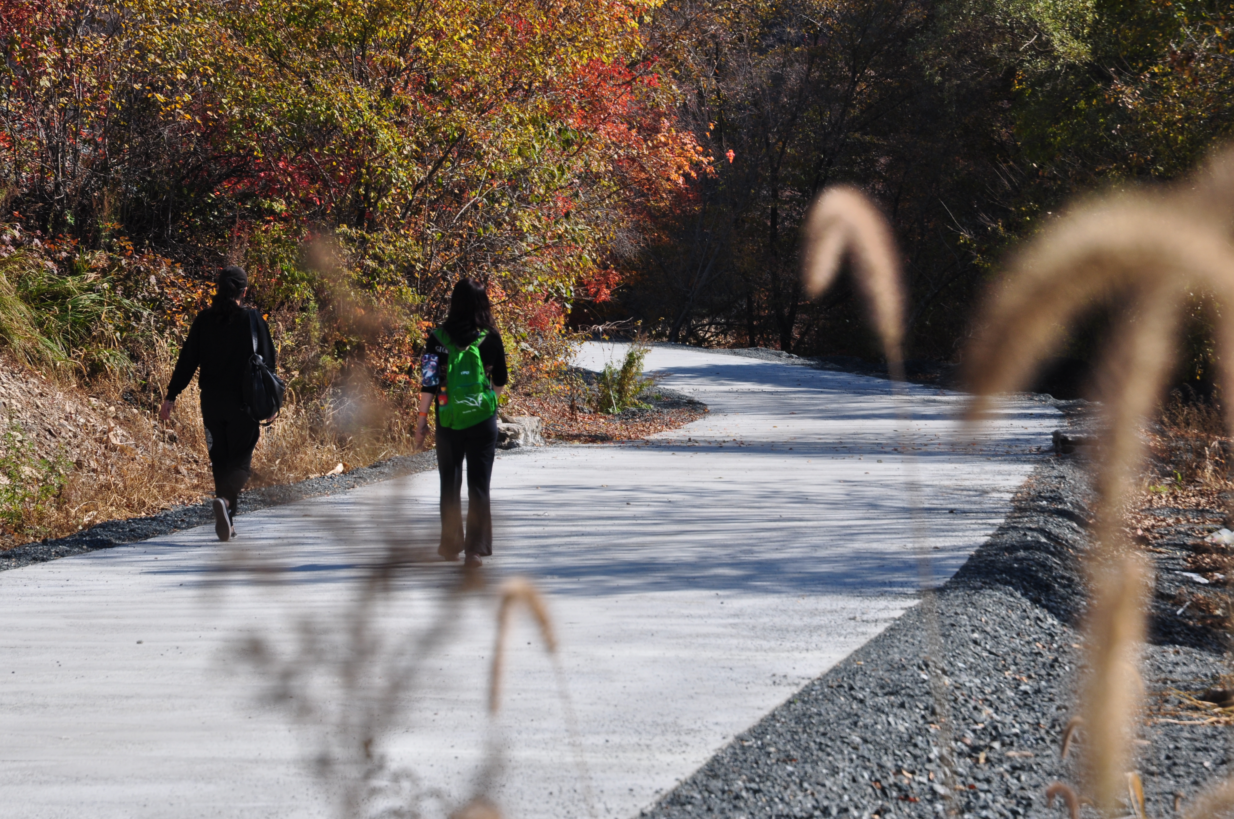 此时的辽宁不进景区照样处处风景，我带5位女同学野山里玩了一天