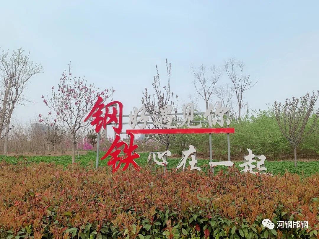 娌抽挗閭挗閾佽矾,娌抽挗閭挗楂樼倝