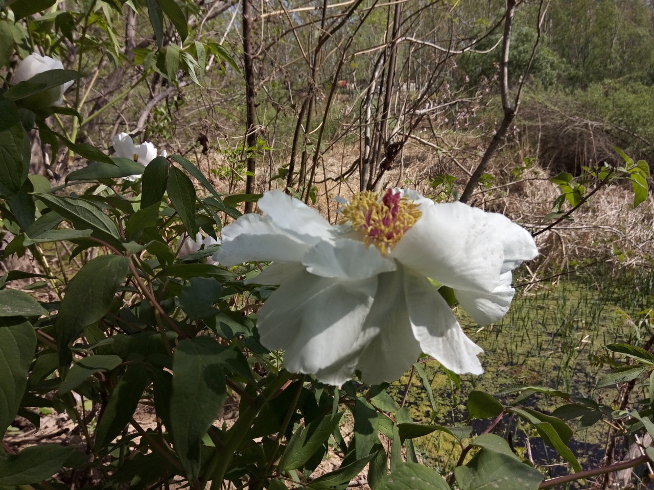 小升初六年级语文真题试卷,小升初六年级语文真卷