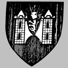 废弃战机改造成潜艇？伊朗绝密蛙人潜艇照片曝光