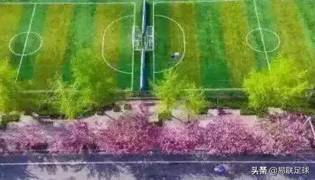 训练手记燃爆的易联球场，欢乐的足球小将！