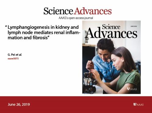 厉害了我国的科技,华科重大科研成就