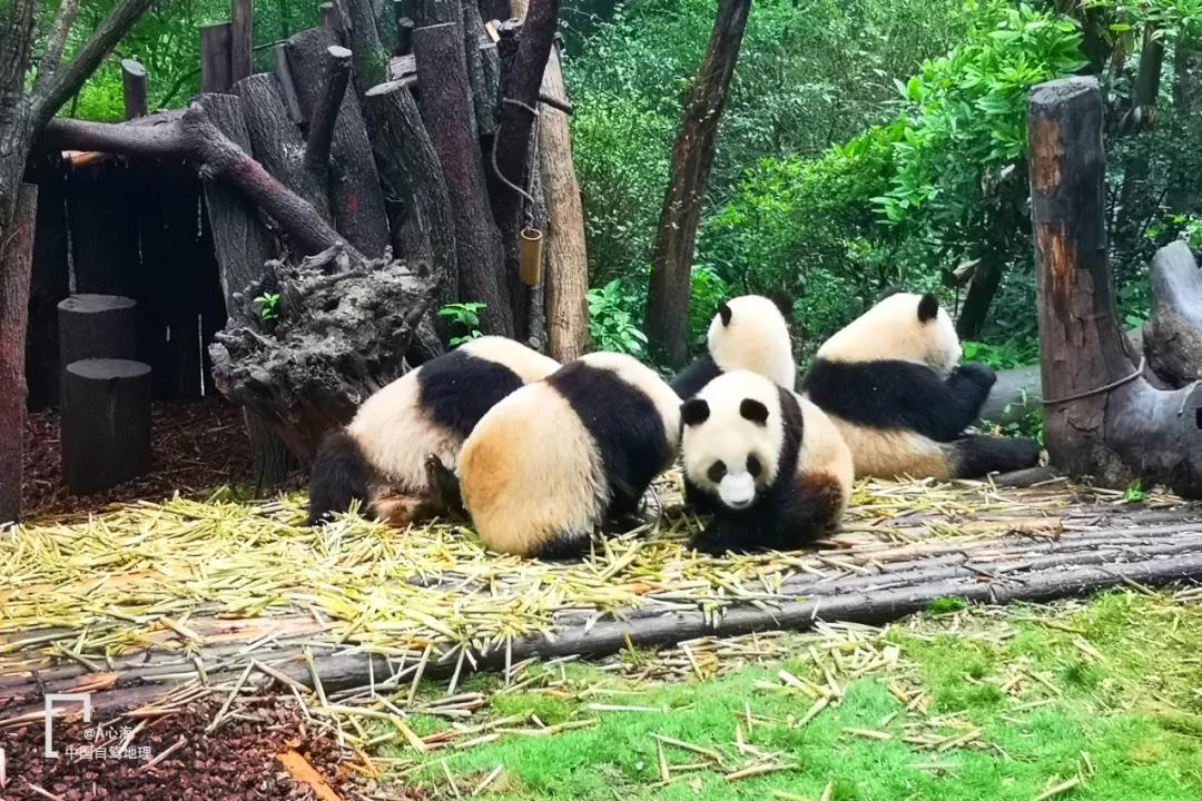 老司机都未走过的进藏秘境,五条经典进藏路线