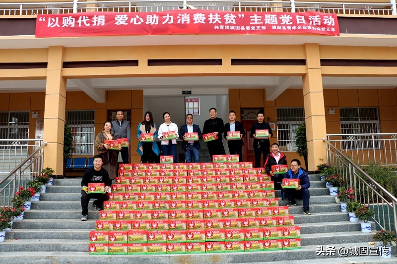 以购代扶助力脱贫攻坚工作 (共青团助力脱贫攻坚微心愿)