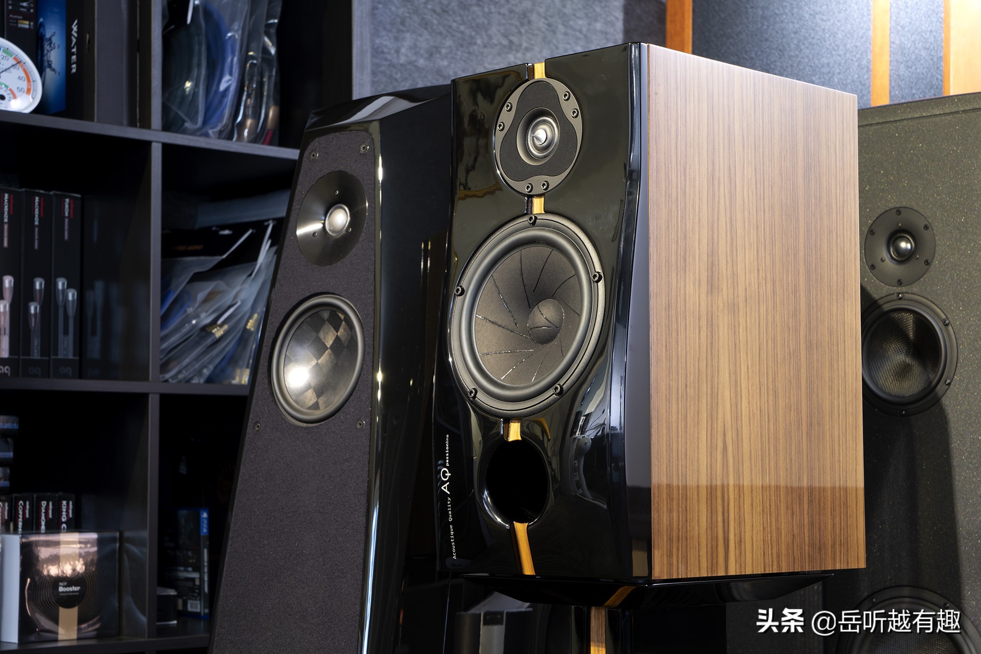 中坚力量——评AQPassionTeen书架式音箱