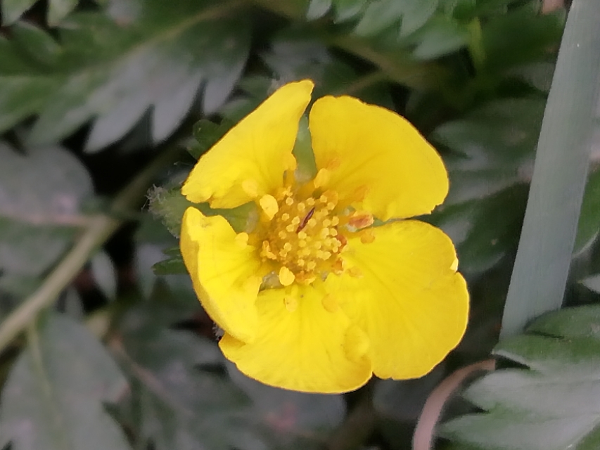 努力学习的动力来自哪里,努力学习的动力其实只有你