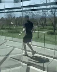 搞笑gif段子又能混饭吃了,搞笑段子gif保证你笑破肚皮