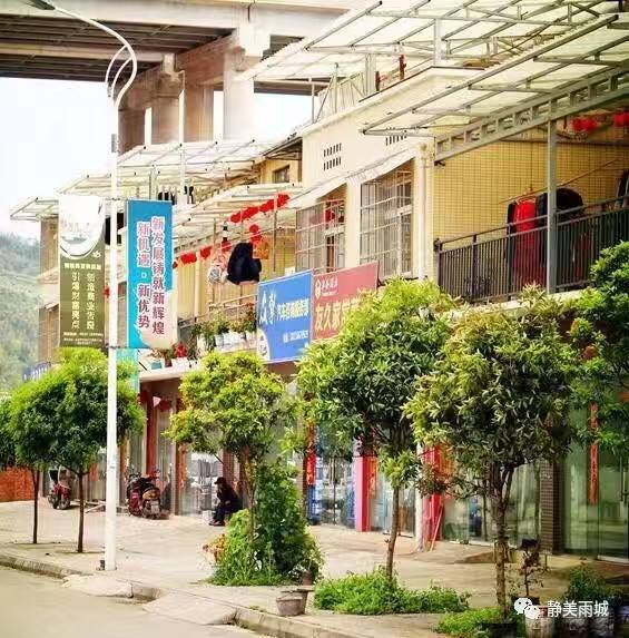 雨城区乡镇名称,雨城区区划