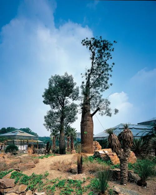 300+万㎡原始森林秘境，天河就有