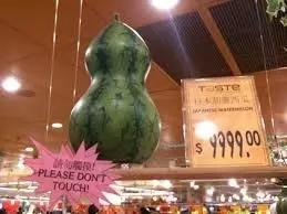 日本人就从来不抱怨苹果太贵，收藏几个异国瓜果能让你变成有钱人