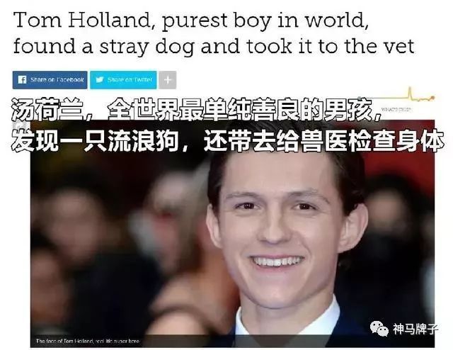 奇异博士和洛基谁更牛,洛奇蜘蛛奇异博士