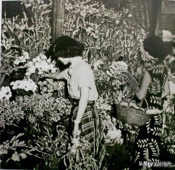 潜伏电视剧冷子,说谍台湾