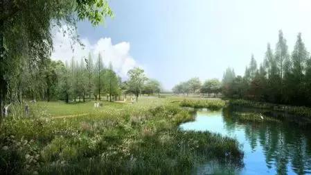 8个新批公园,占地约1350亩生态湿地公园