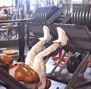 练腿只有酸痛了才会促睾吗,练腿促睾会脱发吗