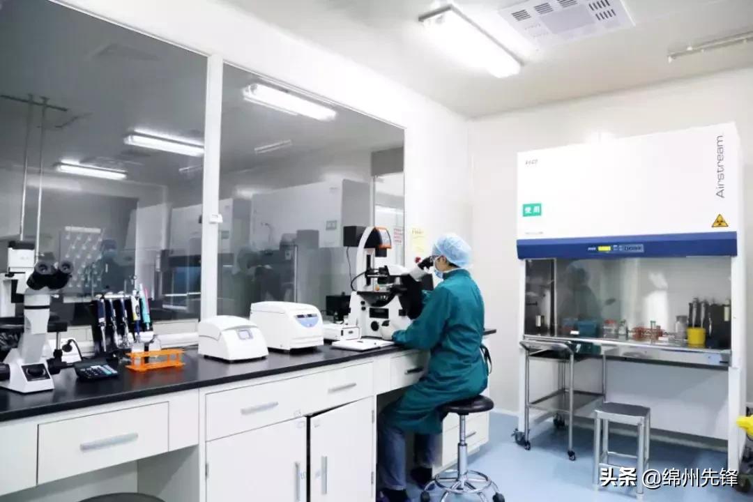 干细胞技术近十年重大突破,四川干细胞库与新生命干细胞