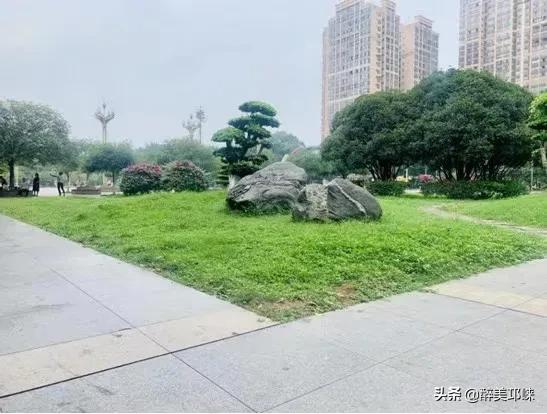 邛崃最新发展,崛起之路走上巅峰