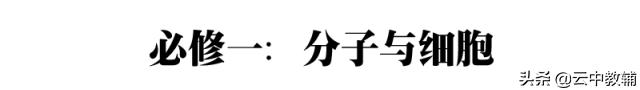 高中生物55个考试要点收藏慢慢学,高中生物40例易混淆知识点辨析