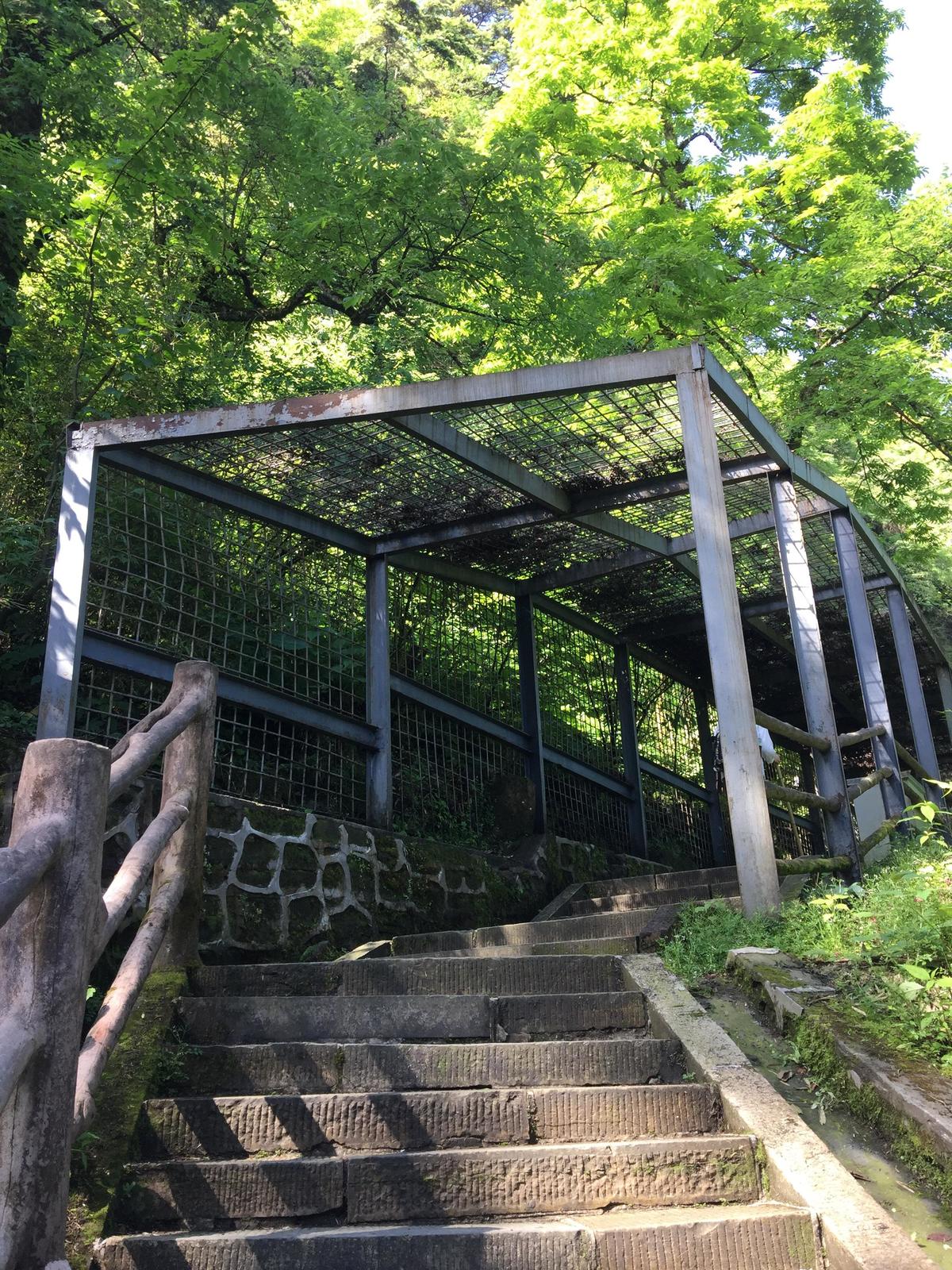 峨眉山登顶佛像,峨眉山登顶记完整版