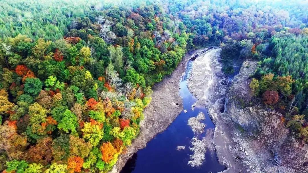 假期逛景区一大波优惠等着您,景点优惠活动视频